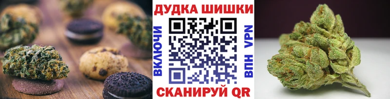 где купить   Бородино  гидра ТОР  Canna-Cookies марихуана 