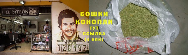прущий лед Бородино