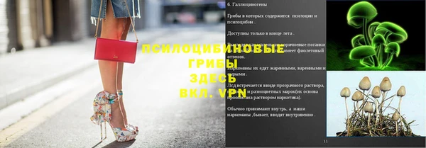 Альфа ПВП Бугульма