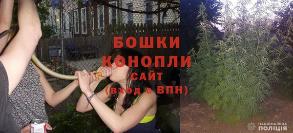 прущий лед Бородино