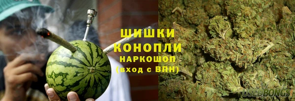 прущий лед Бородино