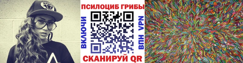 мега как зайти  Бородино  Псилоцибиновые грибы Cubensis 